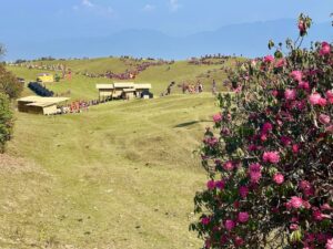Rhododendron Week Festival