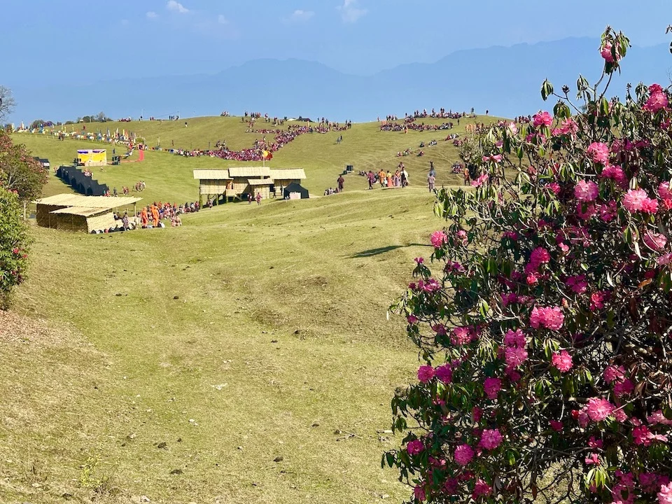 Rhododendron Week Festival
