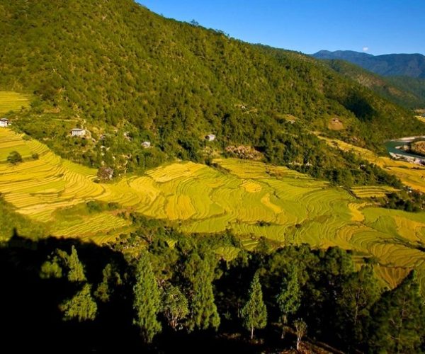 Bhutan Thunder Dragon Tour